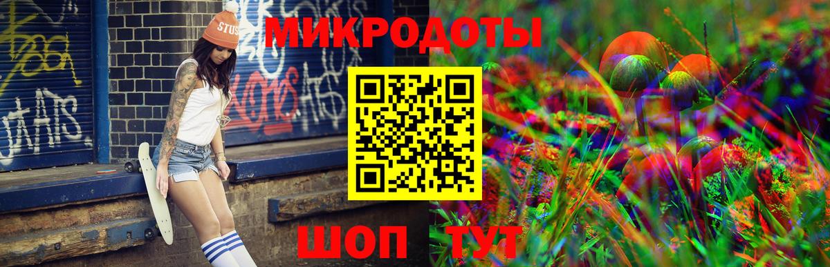 Псилоцибиновые грибы Psilocybine cubensis Арсеньев