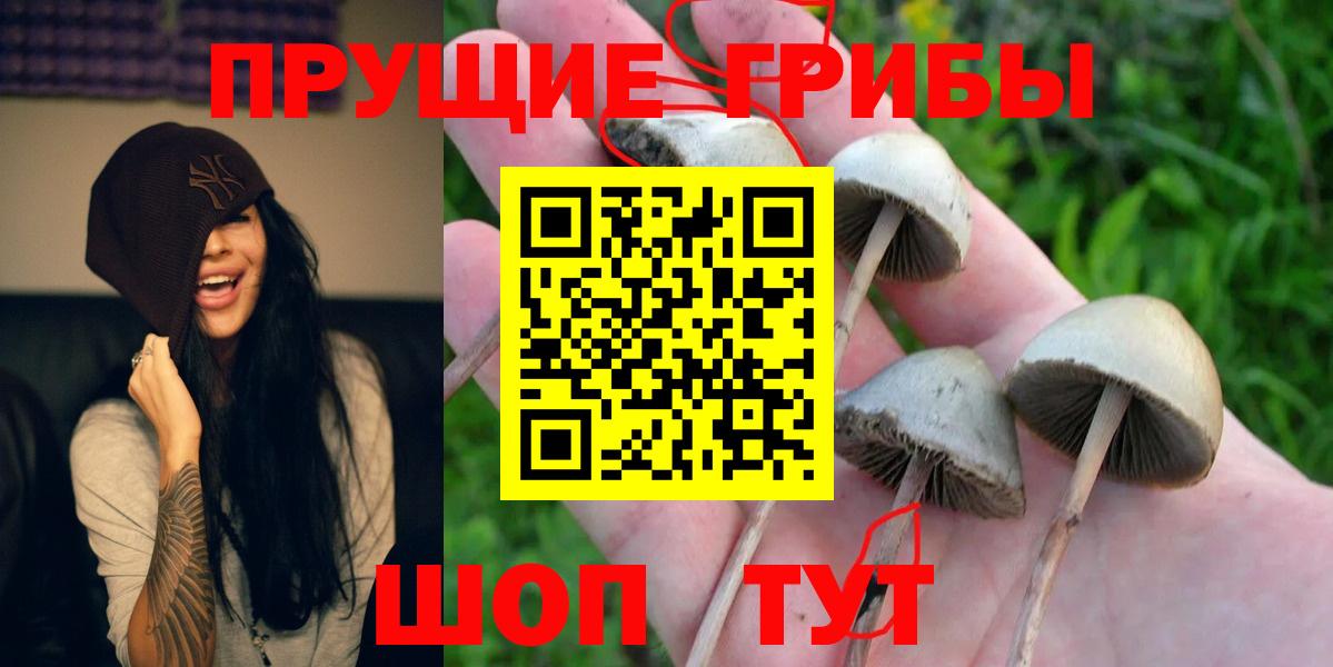 Героин Арсеньев