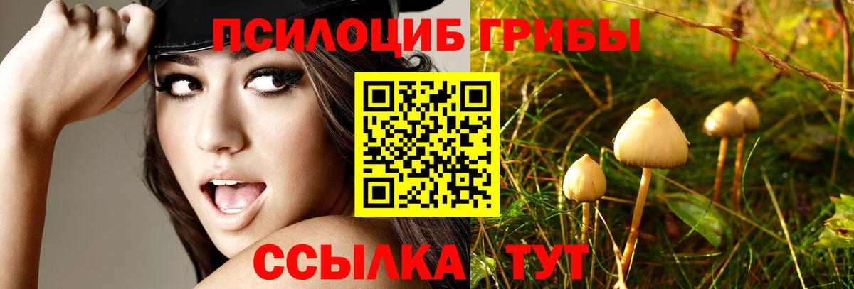 Арсеньев  Псилоцибиновые грибы прущие грибы  Вход с VPN  Галлюциногенные грибы мухоморы 